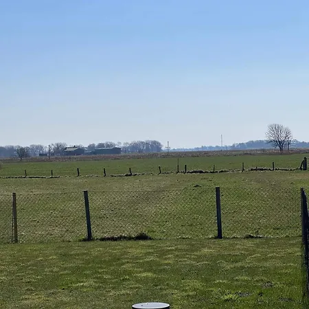 Deichloepper In Osterhever