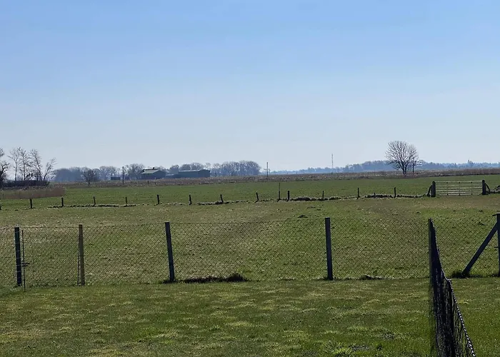 Deichloepper In Osterhever